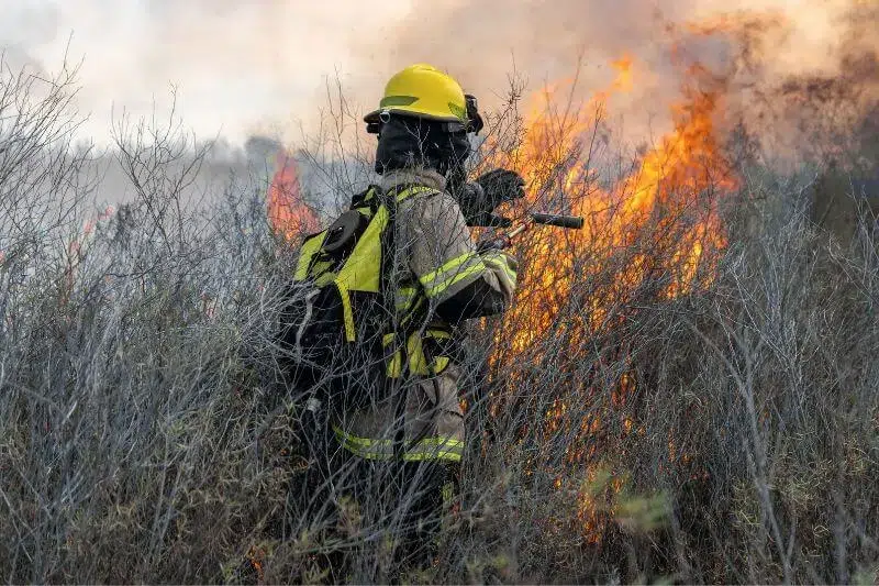 Bombero combatiendo incendios forestales por imprudencia penal en verano